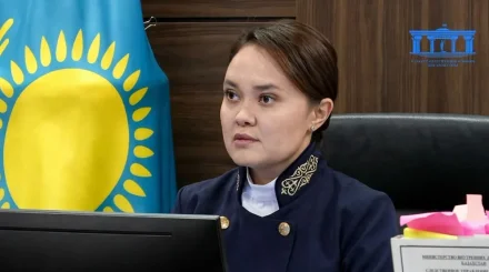 Перед последним словом по делу Улданы Мырзуан появилось новое ходатайство