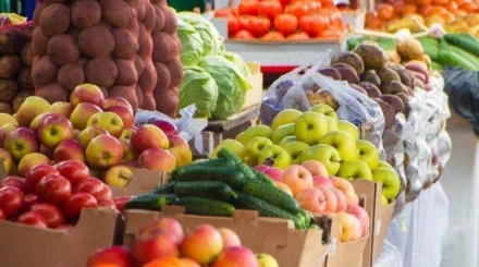 Фермеры из двух областей привезут в Астану более 400 тонн продуктов