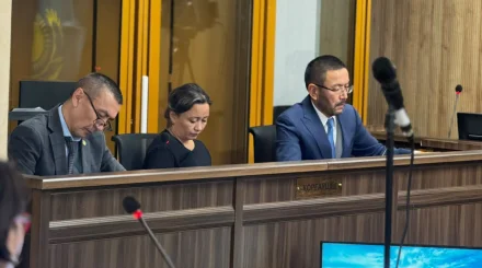 Ұлдана Мырзуан ісі: Сәуле Жұбаниязоваға қатысты іс прокурорға жолданды