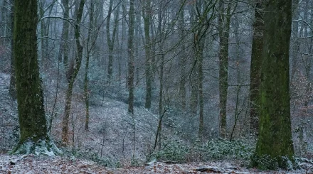 Елдің бірнеше өңірінде жаңбыр аралас қар жауады
