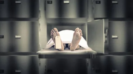 Изнасиловал после смерти: разлагающиеся тела матери и двух маленьких дочерей нашли в шкафу в США