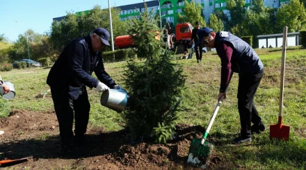 Чистота начинается с ответственности