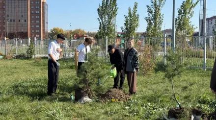 Аллея памяти