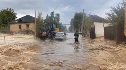 Село в Туркестанской области затопило после сильного дождя