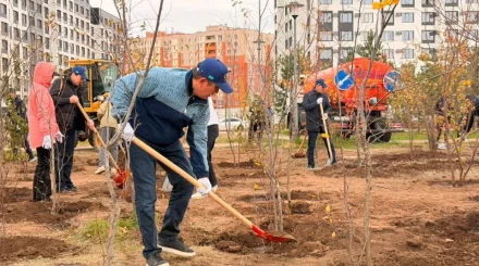 Более 640 деревьев высадили в парке Коктал в Астане