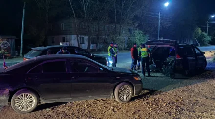   689 келі тұқы: Ақмолада заңсыз балық аулағандар ұсталды   