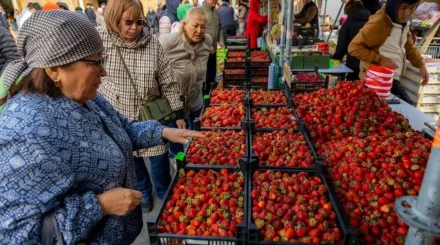Продукты до 20% дешевле рынка предлагают на ярмарках "Дала дәмі"