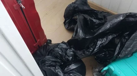 В Москве нашли тела женщины и ее дочери: подозреваемый задержан