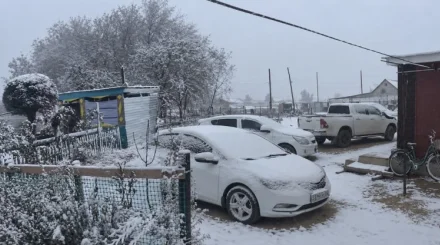Первый снег выпал на западе Казахстана