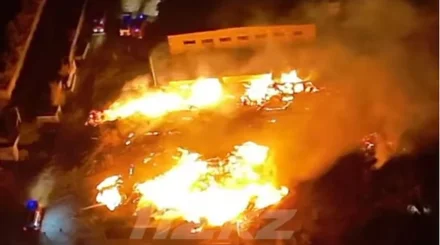 Пилорама горит в Семее: более 50 пожарных борются с огнем