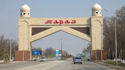 Тараз әкімдігі еккен мыңнан аса ағаш көктемей қалды