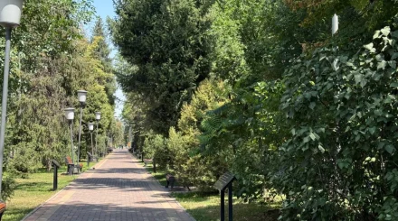 Алматының төменгі бөлігіндегі Үлкен Алматы өзенінің жағалауы қашан абаттандырылады?