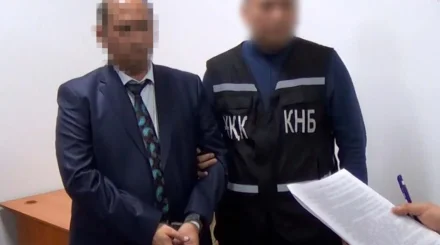 Сразу двух судей отправили за решетку на 9 лет в Казахстане