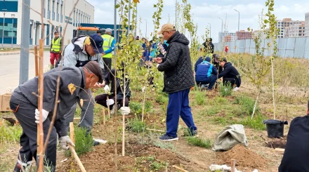 Астанада «Таза Қазақстан» акциясы аясында көгалдандыру жұмыстары жалғасуда