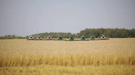 Цифровые технологии применяют более 650 агропредприятий Казахстана