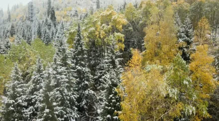 Еліміздің бірнеше өңірінде қар жауып, боран соғады