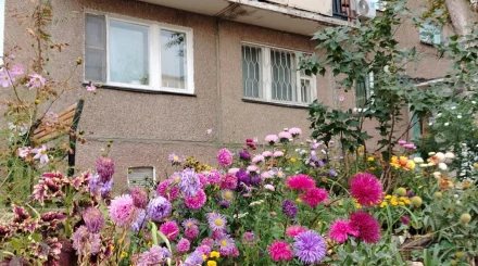   Гүл еккен әжелер: Степногорскінің қариялары қаланың көркін өз қолдарымен жасап жүр   