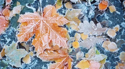 До +10 °С и скользкие дороги: прогноз погоды в Астане на 7 октября