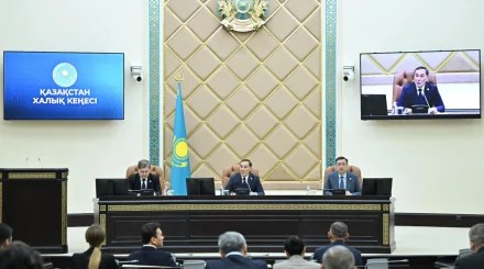   Қазақстан Халық Кеңесі комитетінің салалық комиссияларының құрамы бекітілді   