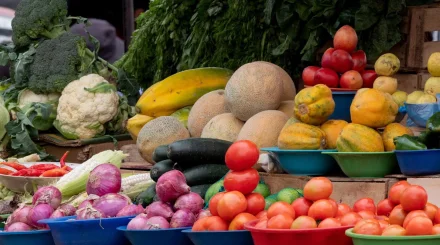 Жители Астаны смогут купить свежие продукты напрямую от фермеров
