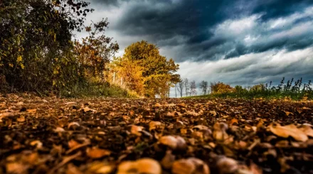 Дауылды ескерту: 8 қазанда бірнеше өңірде құбылмалы ауа райы күтіледі