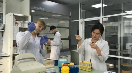 ПЦР-тест для выявления фальсификации мяса разработали в Казахстане