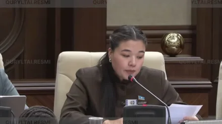 Русана Сулаймонова: Медициналық ақпараттық жүйеде кемшіліктер көп
