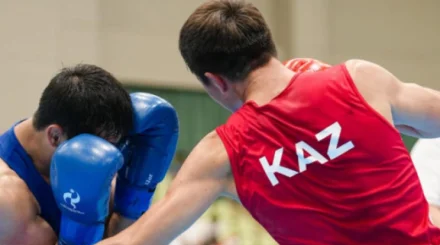 Бокс әлем чемпиондарына берілетін сыйақы көлемі белгілі болды