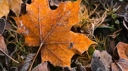 Үсік, көктайғақ, тұман: 7 қазанда ауа райы қандай болады