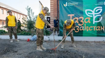 Атырауда волонтерлер 50 жеміс ағашының көшетін отырғызды