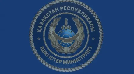  Полиция ЖСН-ді өзгертуге қатысты тараған ақпаратқа түсінік берді 