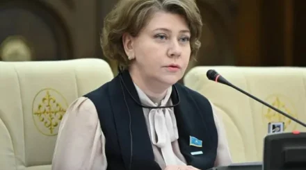 Тоқаев Қорғаныс министрлігіне "мықты қаржыгерді" не үшін жіберді - саясаттанушы пікірі