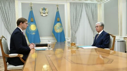 Президент FIDE басшысы Тимур Турловпен кездесу өткізді