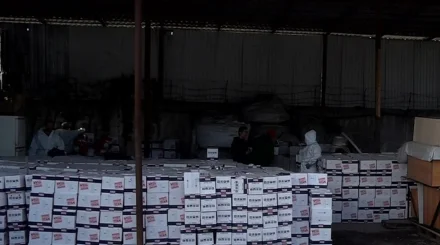 Бренд с подвохом: десятки тысяч подделок отправили на утилизацию