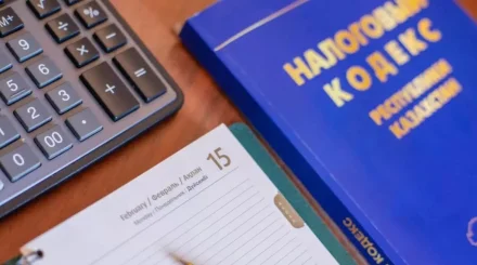 В Казахстане автоматизируют налоги и сократят контрольные проверки
