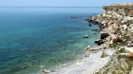 Каспийдің бірегей табиғатын сақтау үшін халықаралық қор құрылады