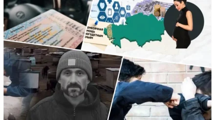 Убили зоозащитника, пособия сравнили с зарубежными, за пересдачу на права придётся платить – обзор