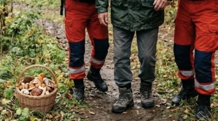 Операцию по спасению грибника развернули под Усть-Каменогорском