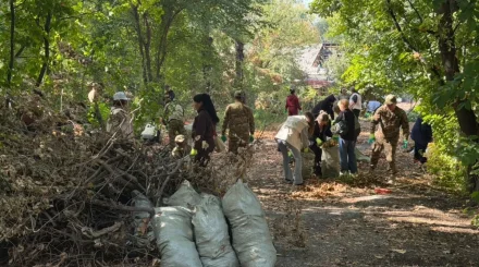 Алматыда бір күнде 1,2 мыңнан астам ағаш егілді