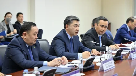 Медицина қызметкерлерінің кәсіби мәртебесі: заң жобасын әзірлеу жұмысы басталды