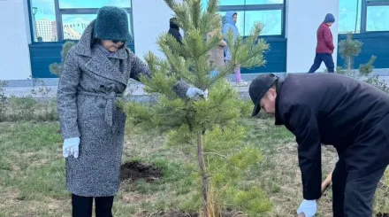 В Астане высадили деревья в честь дня донорства