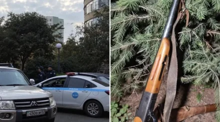 Алматыда қоқыс жәшігінің маңынан мылтық табылды