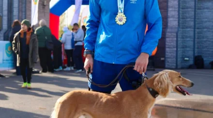   Қазақ тазысы алғаш рет марафондық жүгіруге қатысты   