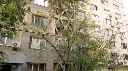 Задержаны подозреваемые по делу о похищении и убийстве человека в Алматы