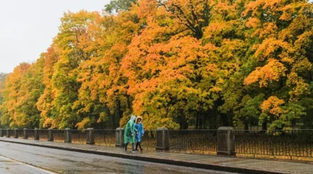 Туман и осадки: штормовое предупреждение объявили в Казахстане на 12 октября