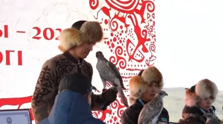 Шығыс Қазақстанда құсбегіліктен тұңғыш рет Азия кубогы өтті
