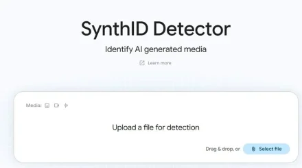 Google суреттердің шынайылығын тексеретін сайтты іске қосты