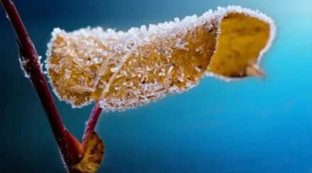 13 қазанда елімізде 6 градусқа дейін аяз болады