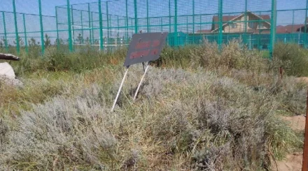   Қосшыдағы 500-ден астам үй сібір жарасы көмілген орынға жақын орналасқан: тұрғындар алаңдауына негіз бар ма?   