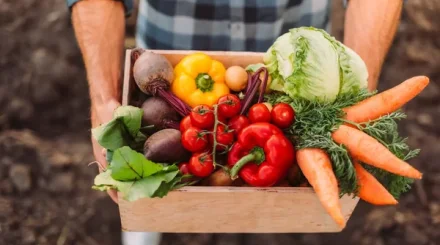 Производство продуктов питания в Казахстане продолжает расти